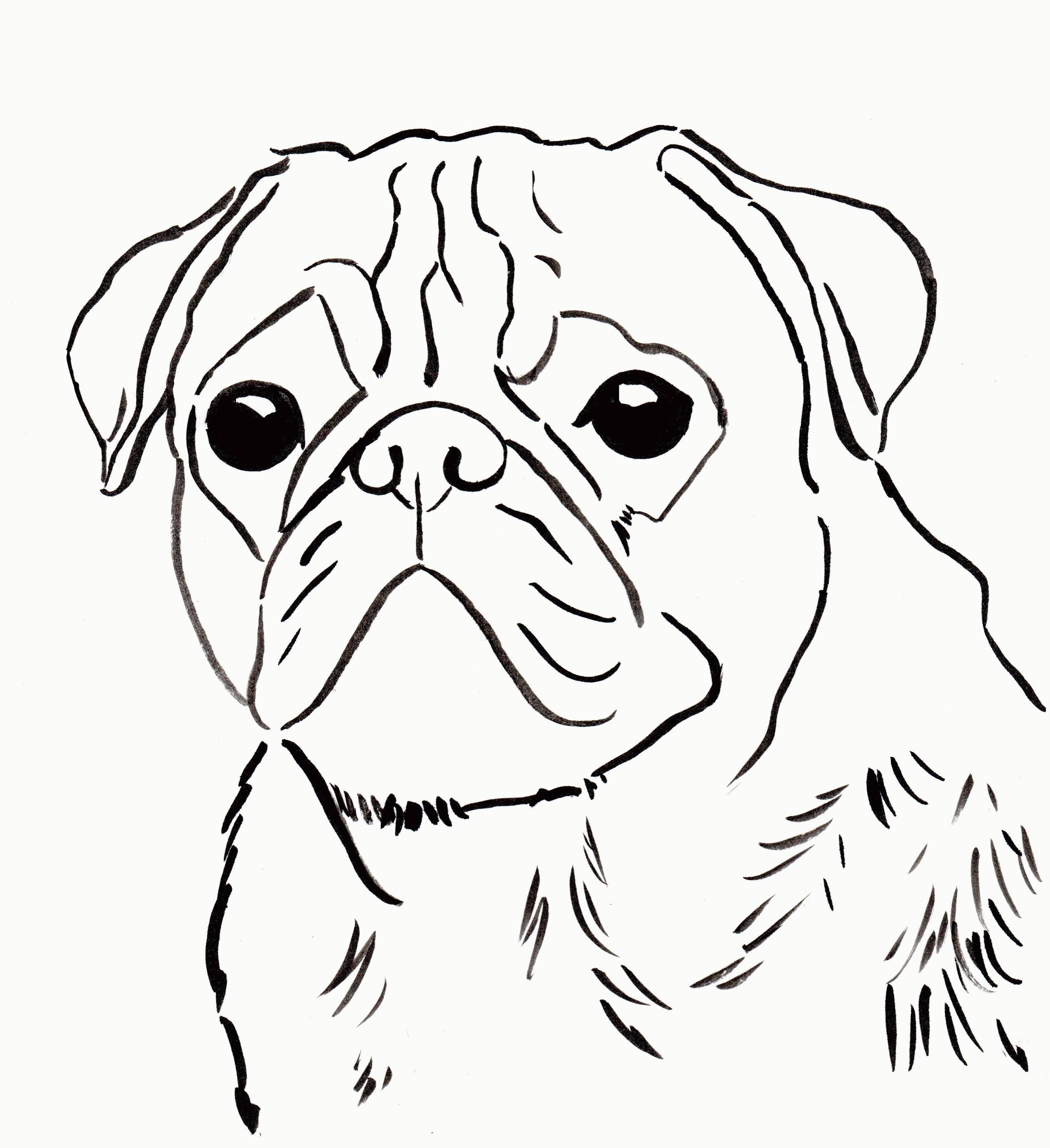 Free Printable Pug Coloring Pages