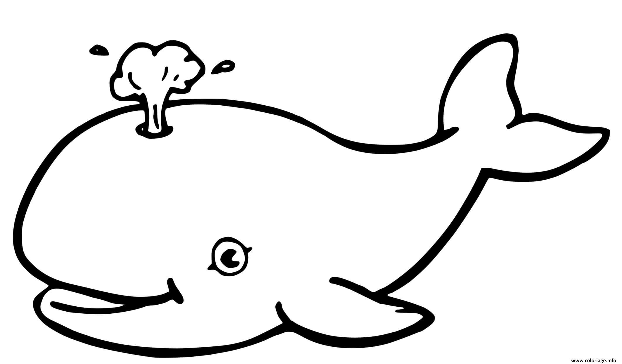 Cute Animals Coloring Pages: Whale