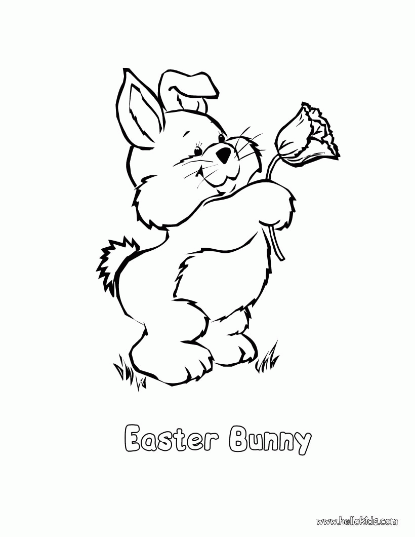 EASTER BUNNY coloring pages - Rabbit and Spring flower