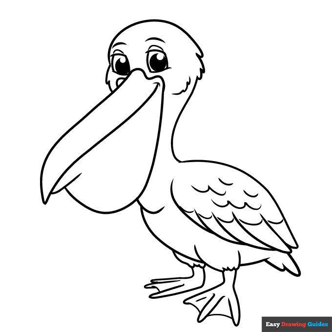 Pelican Coloring Page | Easy Drawing Guides