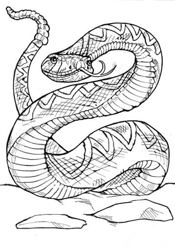 Snake coloring pages, Snake drawing, Coloring pages