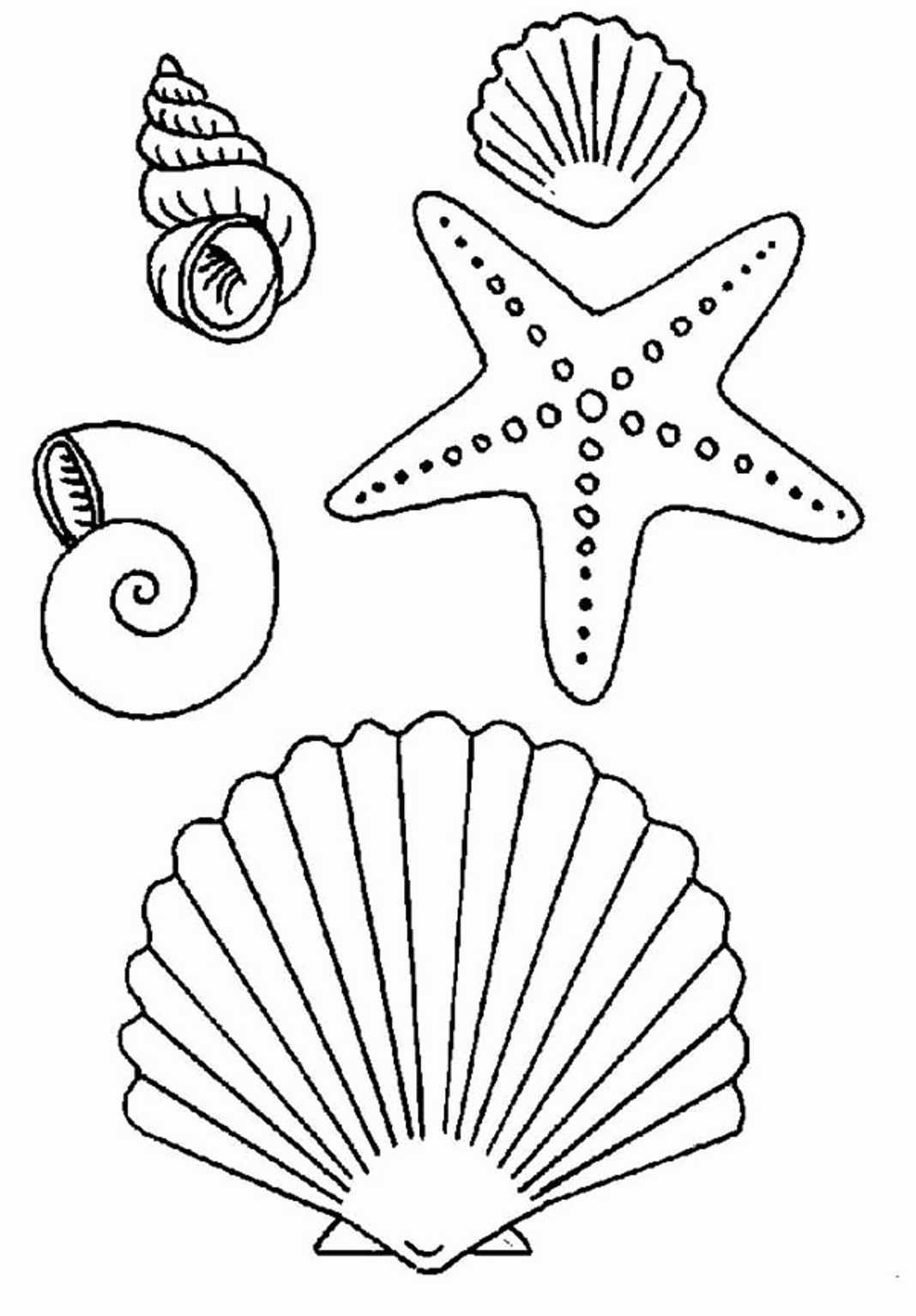 Top Free Coloring Pages Of Shells - Widetheme