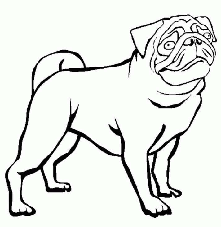 Pug Coloring Pages For S - Coloring Style Pages