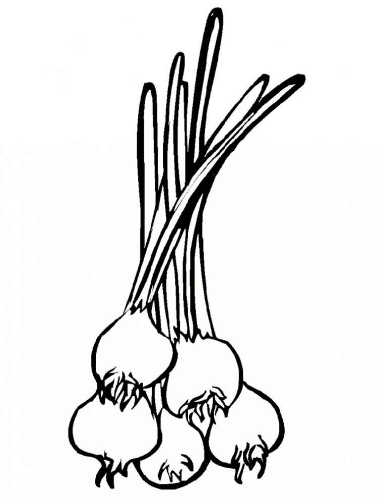 coloring-sheet-for-green-onion-coloring-pages