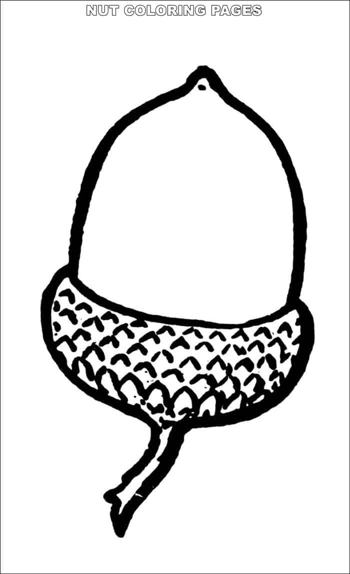 Nuts Coloring Pages - Coloring Home