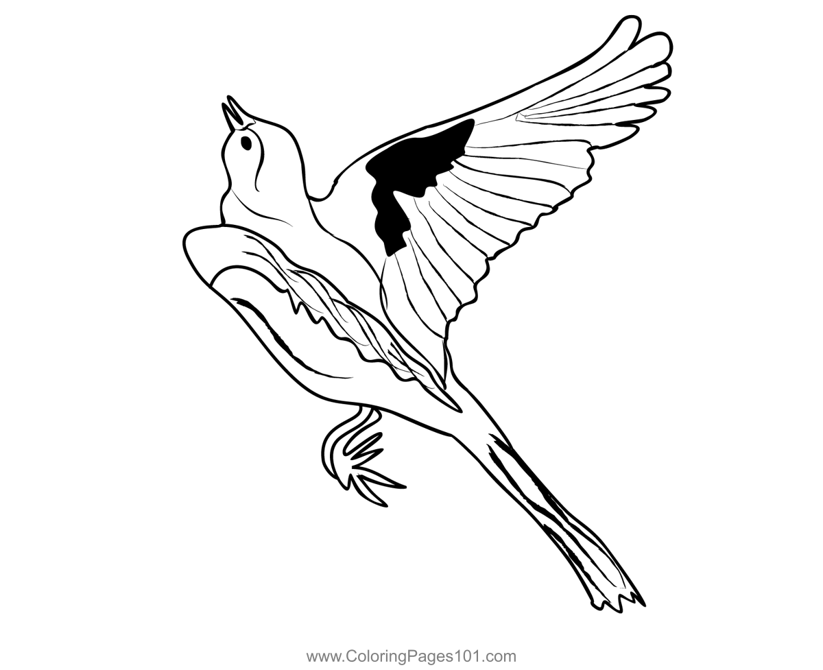 Grey Wagtail 4 Coloring Page for Kids - Free Wagtails Printable Coloring  Pages Online for Kids - ColoringPages101.com | Coloring Pages for Kids