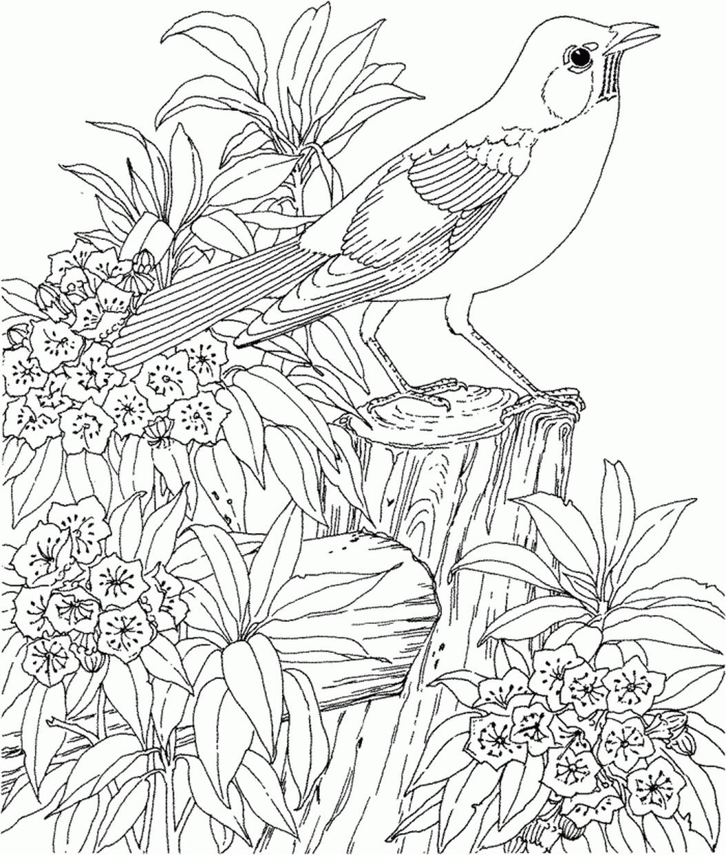 Get This Hard Coloring Pages Printable Free Realistic Bird Image !