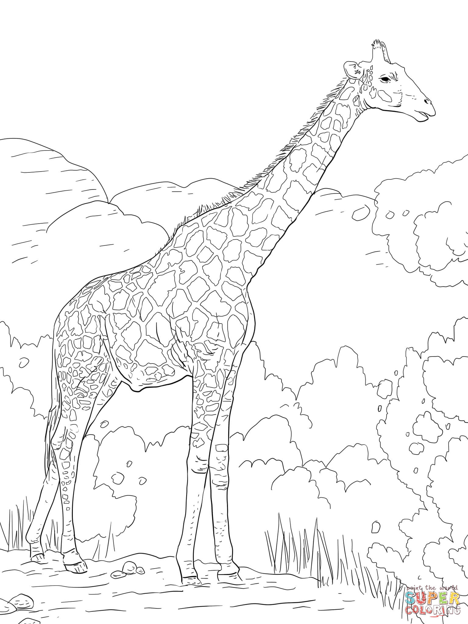 Giraffe Coloring Pages - VoteForVerde.com