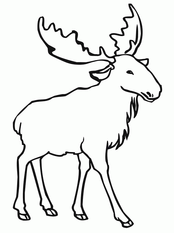 Elk Coloring Pages for Pinterest