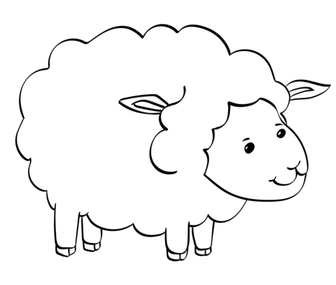 Cute Sheep coloring page | Free Printable Coloring Pages