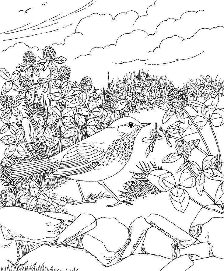 Washington State Educational Coloring Pages - Coloring Home