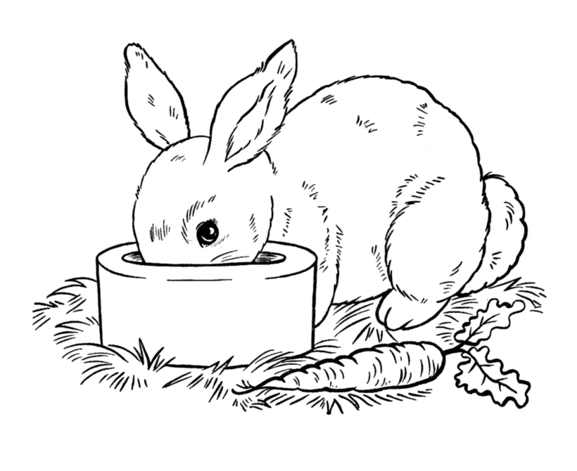 Easter Bunny Coloring Pages | BlueBonkers - Pet Bunny free 