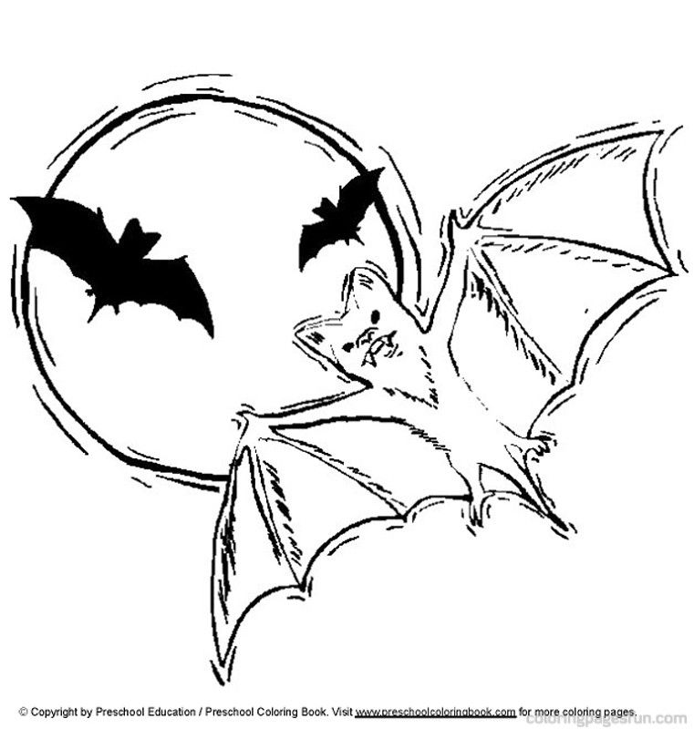 Bats | Free Printable Coloring Pages