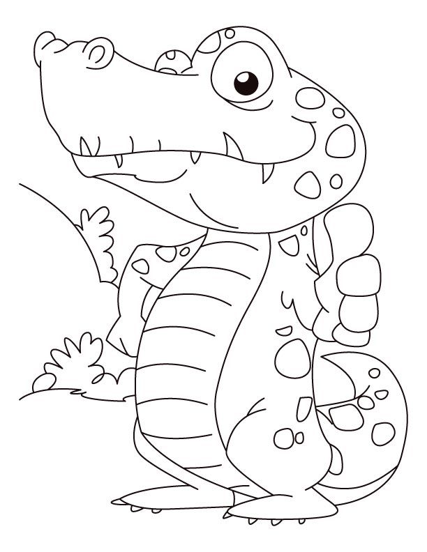 Champion alligator coloring page | Download Free Champion 