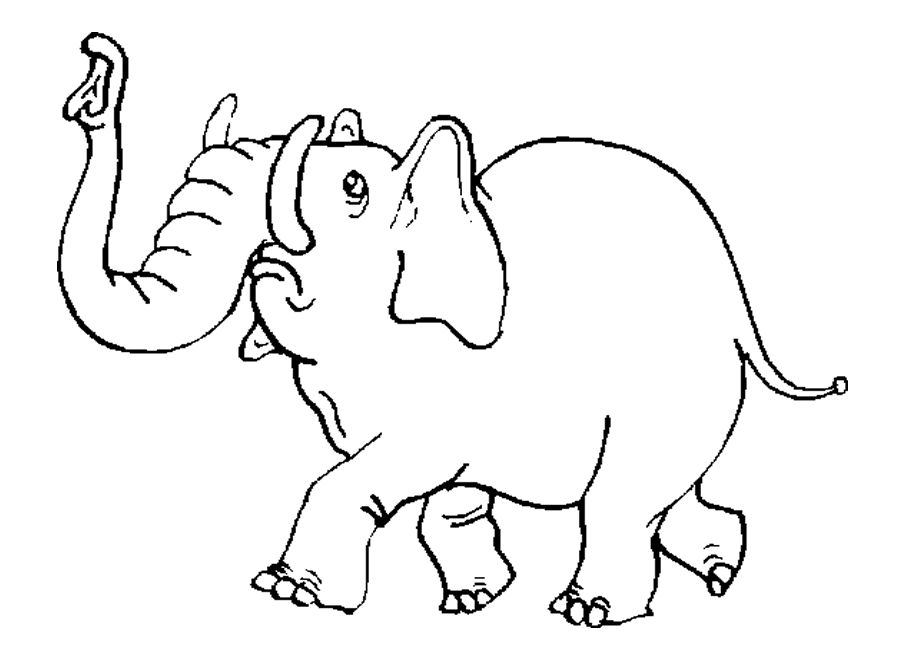 Animals Cute Zoo Coloring Pages 670 X 820 44 Kb Gif | Fashion Trends