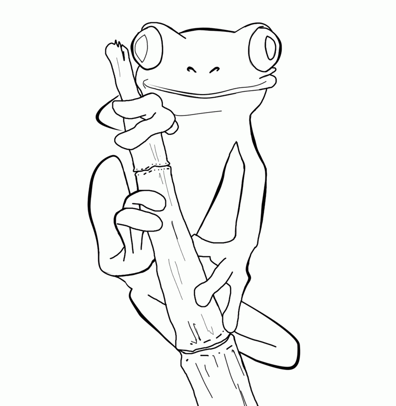 Coloring Pages A Tree Frog - HD Printable Coloring Pages