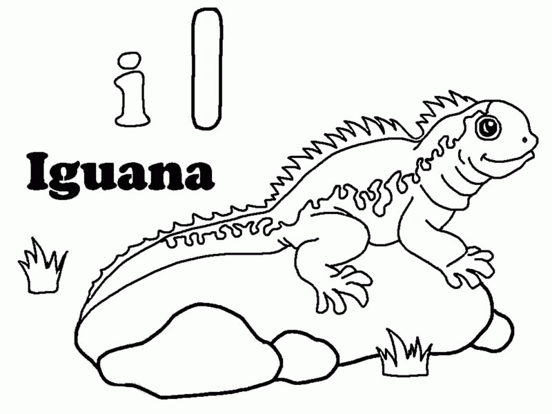 iguana sunbathing on a rock coloring page - Download & Print 