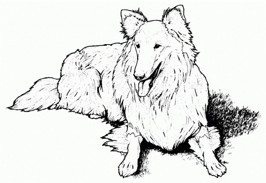 Coloring Pages Of Dogs - Coloring For KidsColoring For Kids