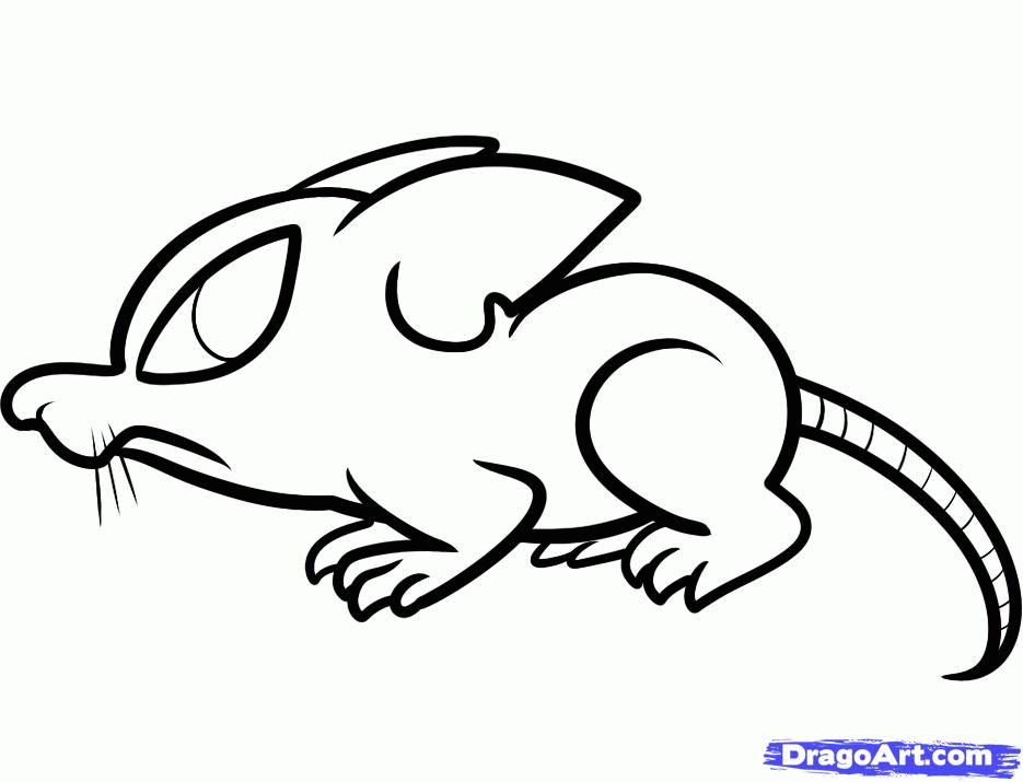 How to Draw a Rat for Kids, Step by Step, Animals For Kids, For 