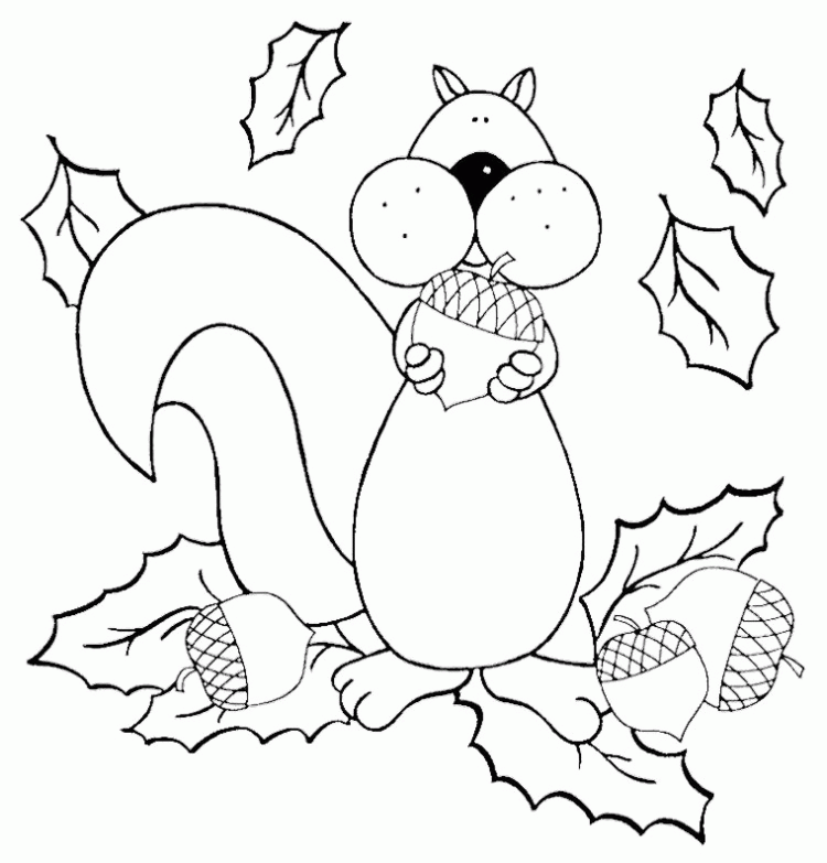 Cute Cartoon Squirrel Coloring Pages - Animal Coloring Coloring 