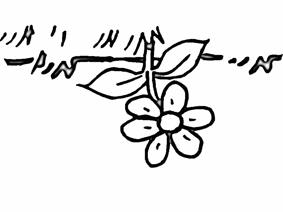 a grass Colouring Pages