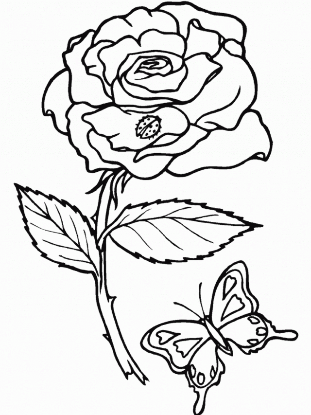 Rose Flower Coloring Pages 44775 Label Coloring Pages Of A Rose 