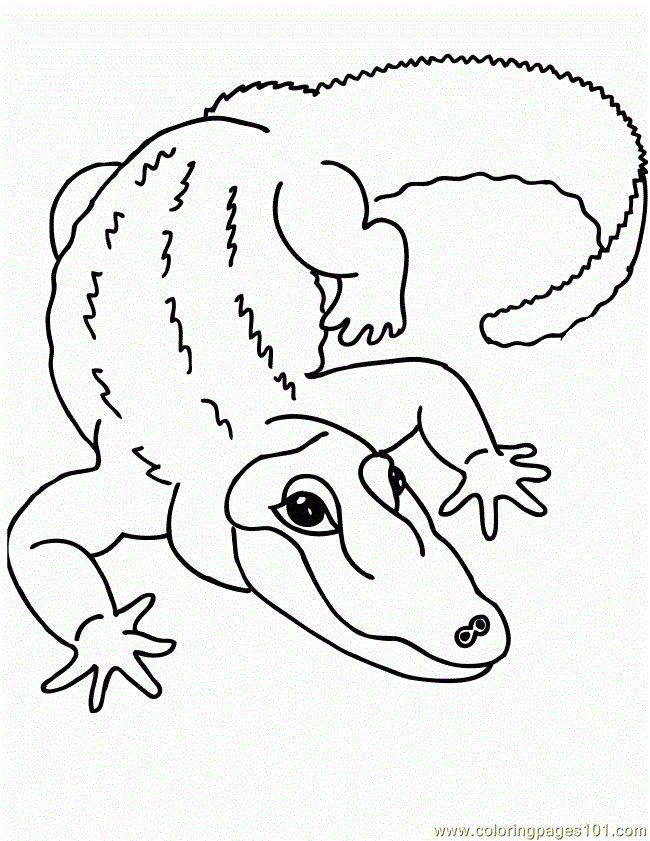 Coloring Pages Zoophonics Alligator 650x841 (Animals > Others 