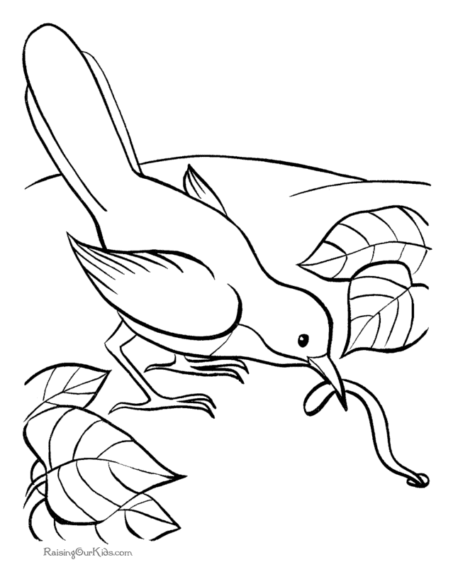 Tropical Bird Coloring Pages - Coloring Home