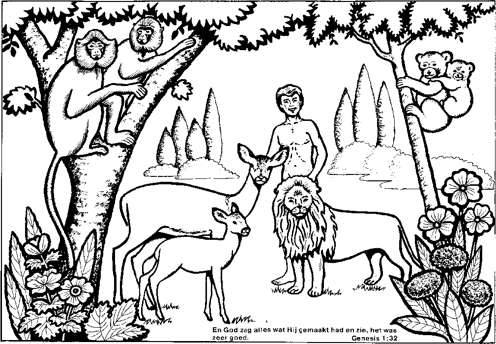 Free Coloring Pages Of Adam And Eve