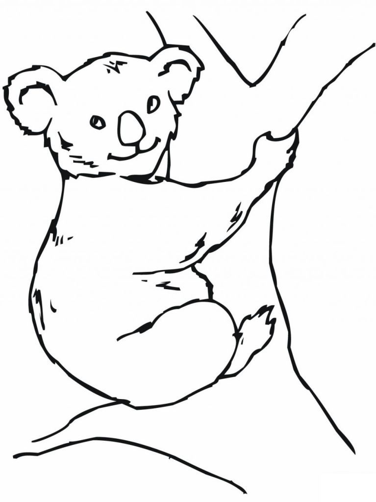 Koala Bear Coloring Pages For... | Free coloring pages for kids