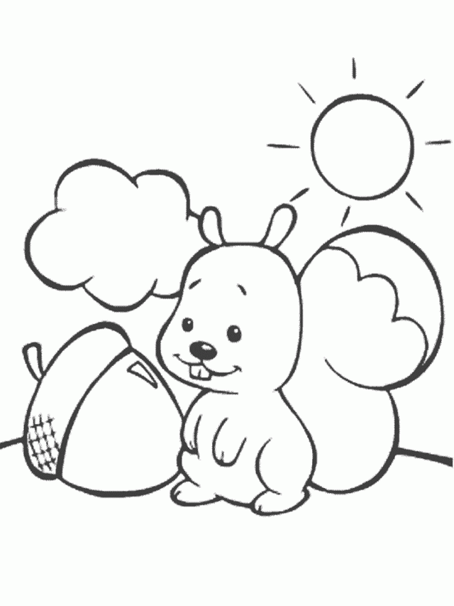 Download Cute Squirrel Coloring Pages Or Print Cute Squirrel 
