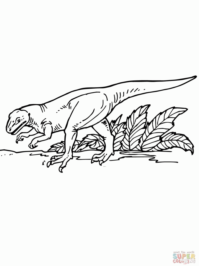 Allosaurus Coloring Page : Printable Coloring Book Sheet Online 