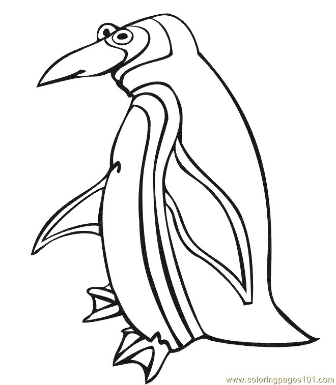 Penguin Printable Coloring Pages | Animal Coloring Pages | Kids 