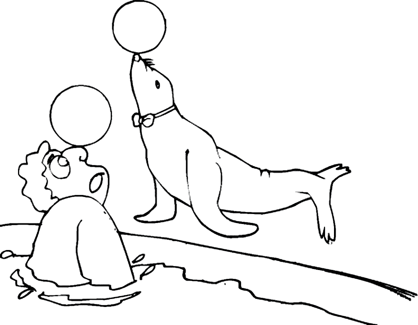 Seals Coloring Pages