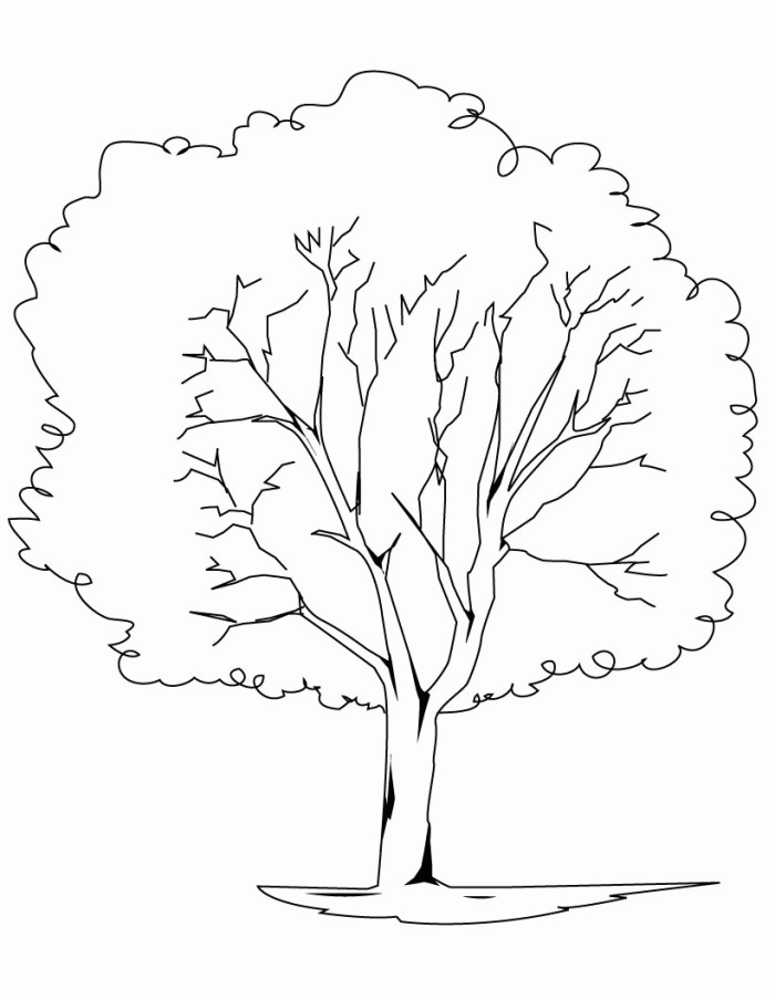 Download Oak Tree Coloring Page - Coloring Home