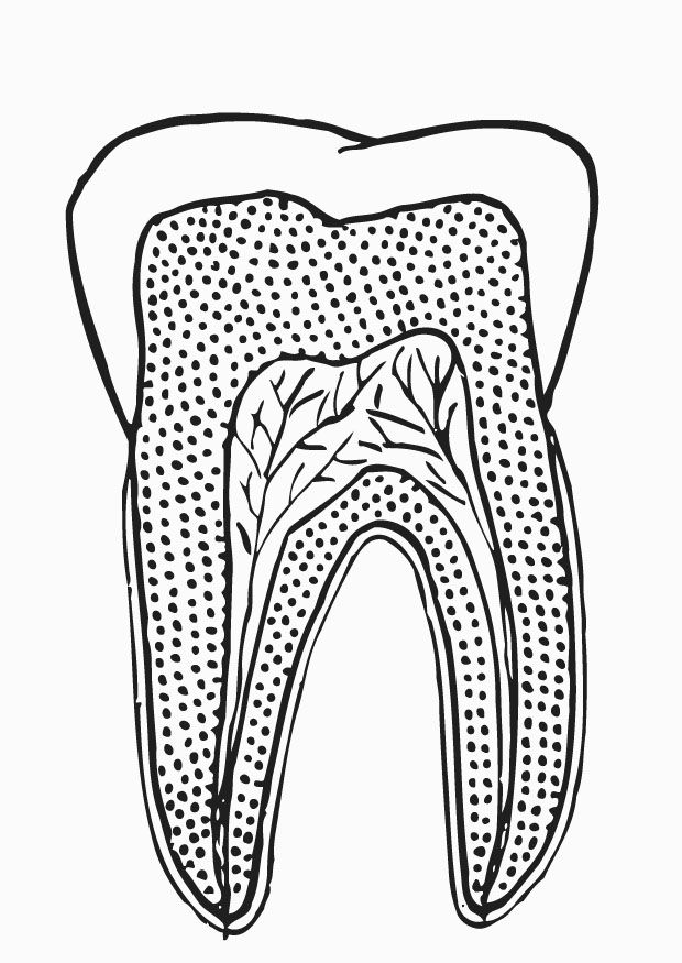 teeth Colouring Pages (page 3)