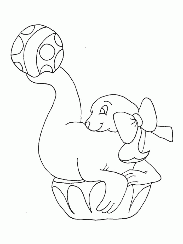Baby Seal Coloring Pages - KidsColoringSource.