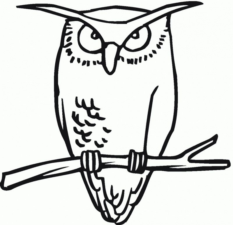 Great Horned Owl Coloring Pages - HD Printable Coloring Pages