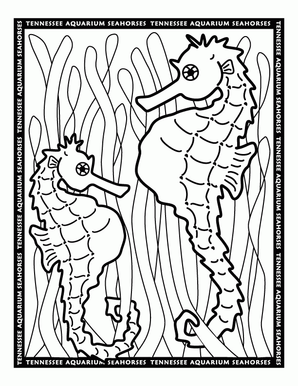 Seahorses Coloring Pages - Free Printable Coloring Pages | Free 