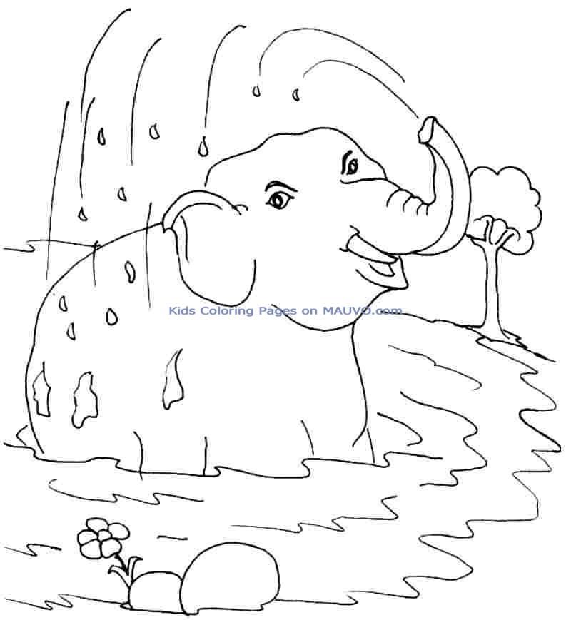 Coloring Animal Elephant For Children