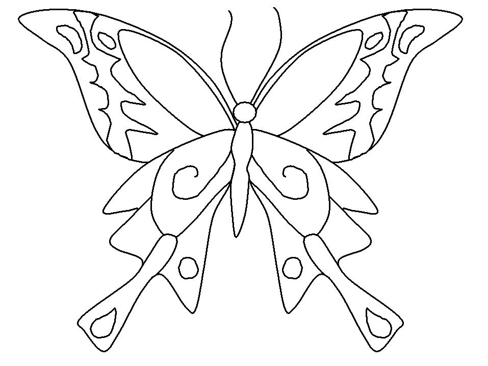 Butterflies K6 Animals Coloring Pages & Coloring Book