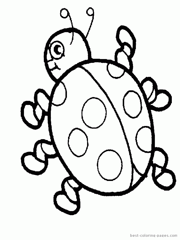 Ladybug coloring pages | Best Coloring Pages - Free coloring pages 