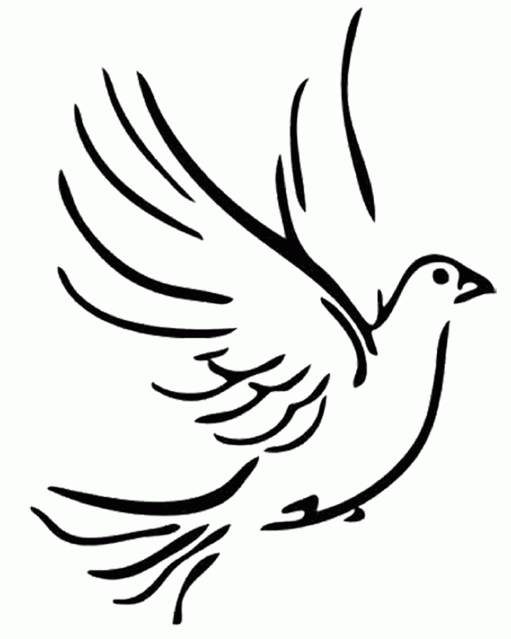 Peace Dove Outline Drawing