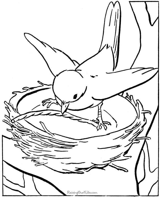 Coloring Pages For Kids Birds | Printable Coloring Pages