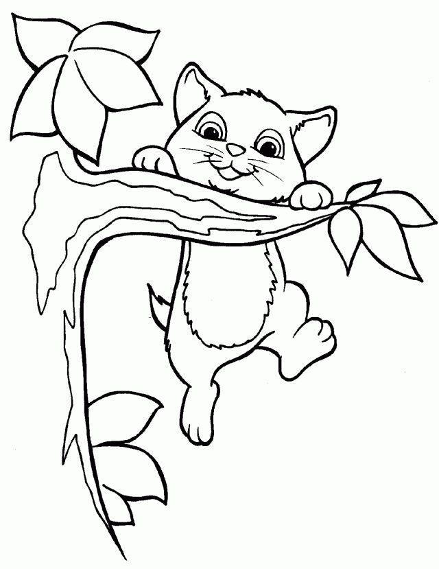 Wallpapers Warrior Cats Coloring Pages Cat Page Free 1282x1662 