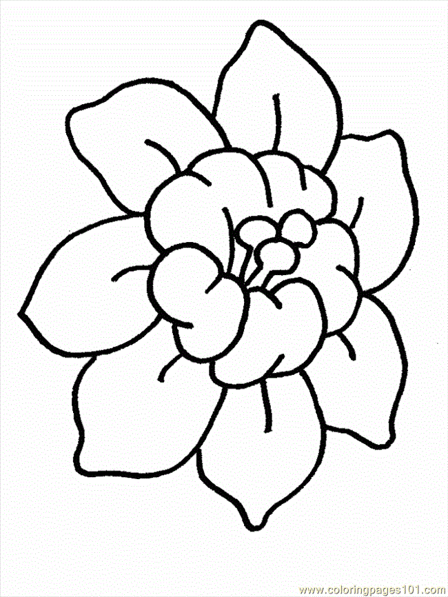 Coloring Pages Flower Coloring 1 (Natural World > Flowers) - free 
