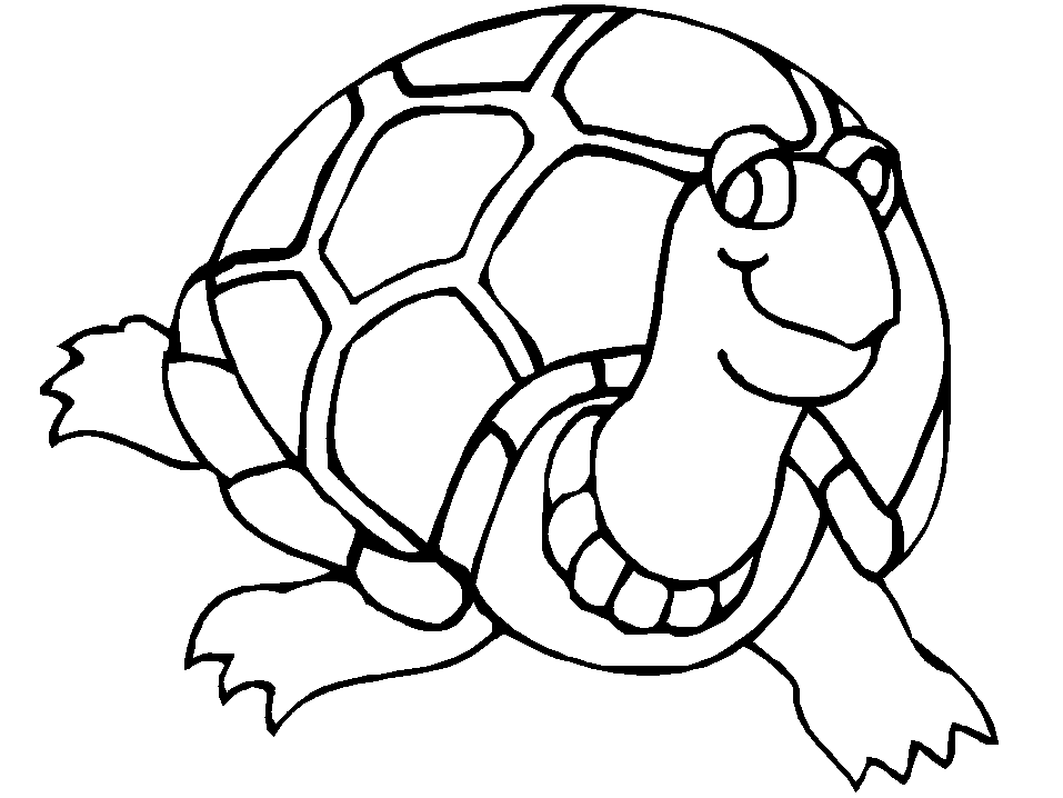 Coloring picture of a turtle