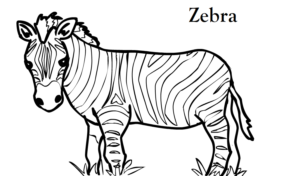Pictures Of Zebras To Color - Coloring Home