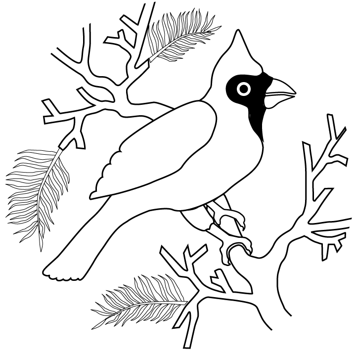 Free Cardinal Coloring Pages