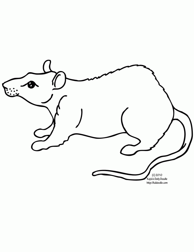 RATS Colouring Pages (page 3)